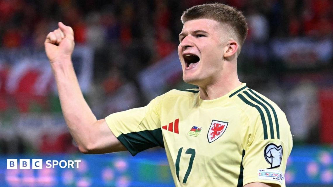 Jordan James: Wolves sign Wales midfielder from Rennes on loan Jordan James: Wolves sign Wales midfielder from Rennes on loan