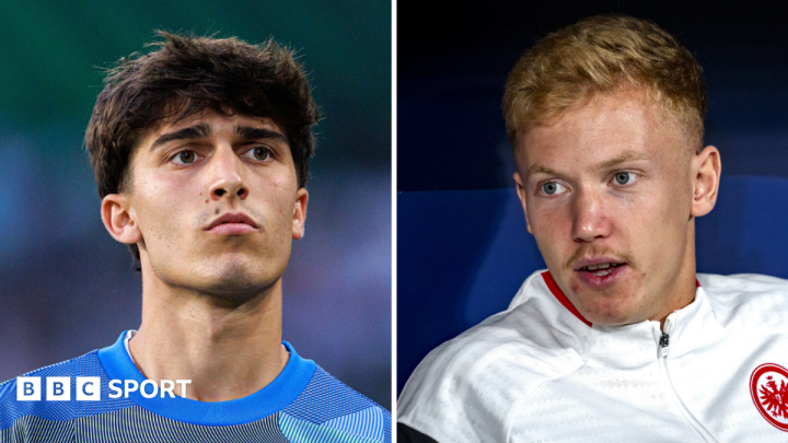 Fulham transfer news: Club agree to sign midfielders Manuel Angel and Hugo Larsson